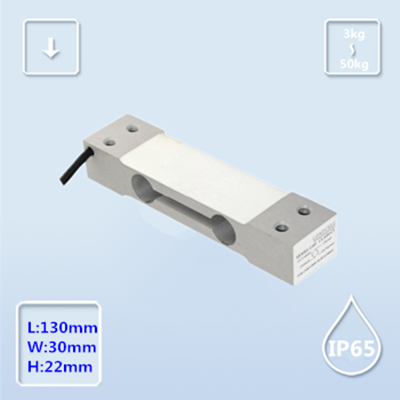 B721D-博兰森-悬臂式传感器